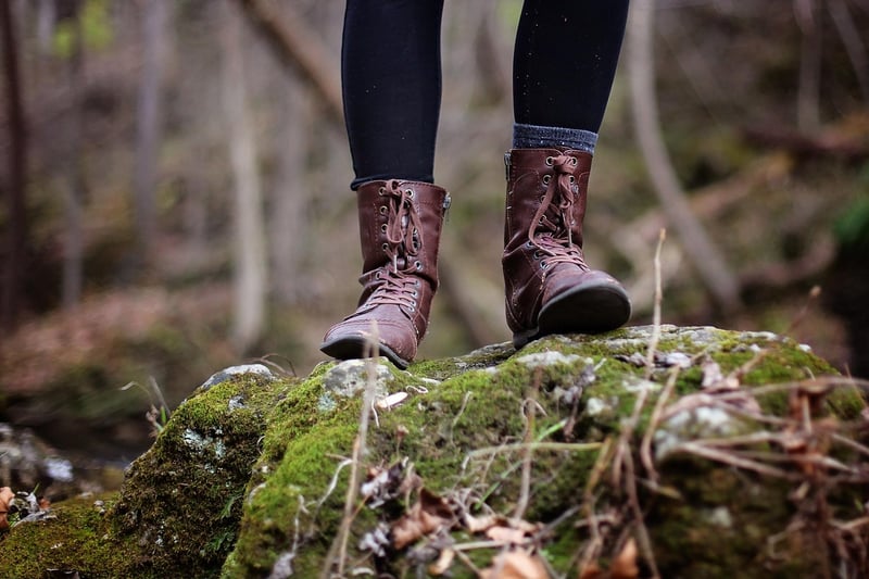 Hiking in the Jungle